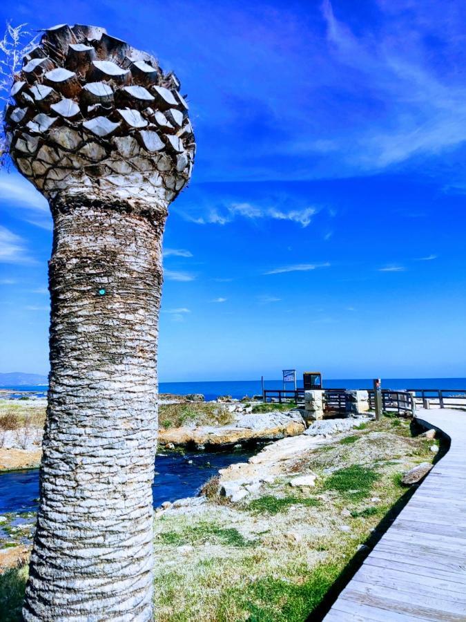 Apartamento Acogedor En Cabanes, Torre La Sal, Costamar I Marina D'Or Venta de San Antonio-Estacion Екстер'єр фото